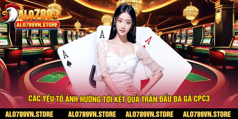 Các yếu tố ảnh hưởng tới kết quả trận đấu đá gà CPC3