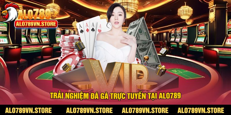 Trải nghiệm đá gà trực tuyến tại alo789